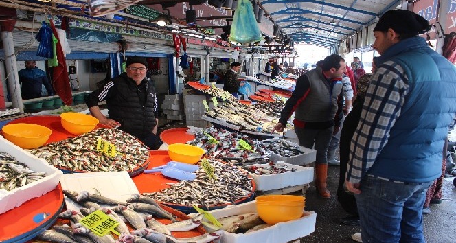Tezgahlarda balık çeşitliliği arttı, fiyat düştü