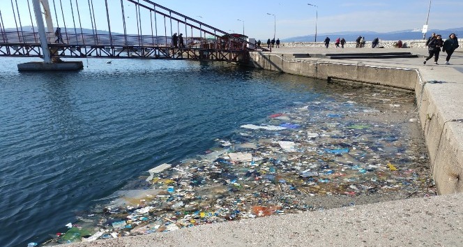 Bandırma’da deniz kirliliği