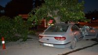Balıkesir’de otomobil ağaca çarptı: 1 ölü