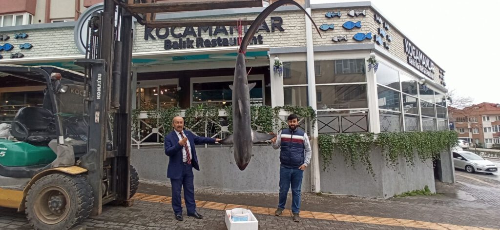 Bandırma’da Balıkçıların ağına 200 kiloluk köpek balığı takıldı