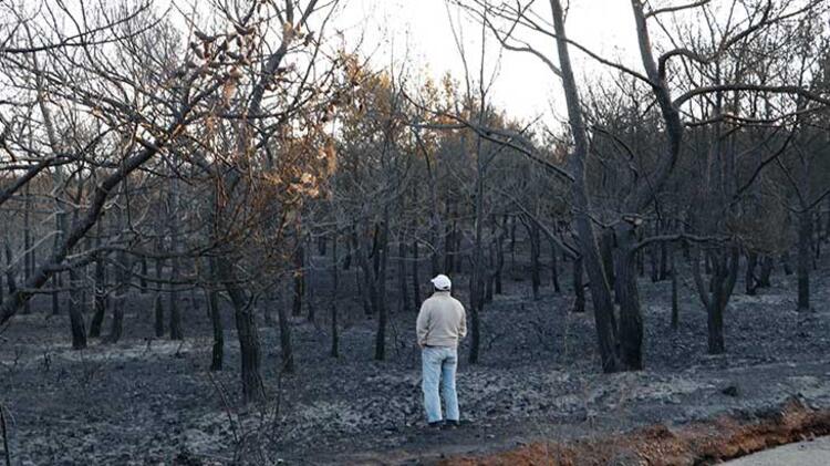 Ayvalık’ta ormanlık alan yandı; kara tablo sabah ortaya çıktı
