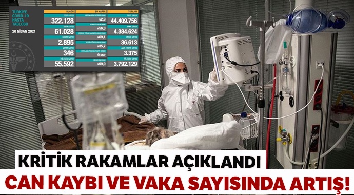 Türkiye’de son 24 saatte 346 kişi hayatını kaybetti