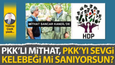PKK’lı Mithat, PKK’yı sevgi kelebeği mi sanıyorsun?