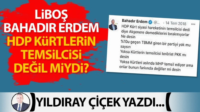 Liboş Bahadır Erdem, HDP Kürtlerin temsilcisi değil miydi?