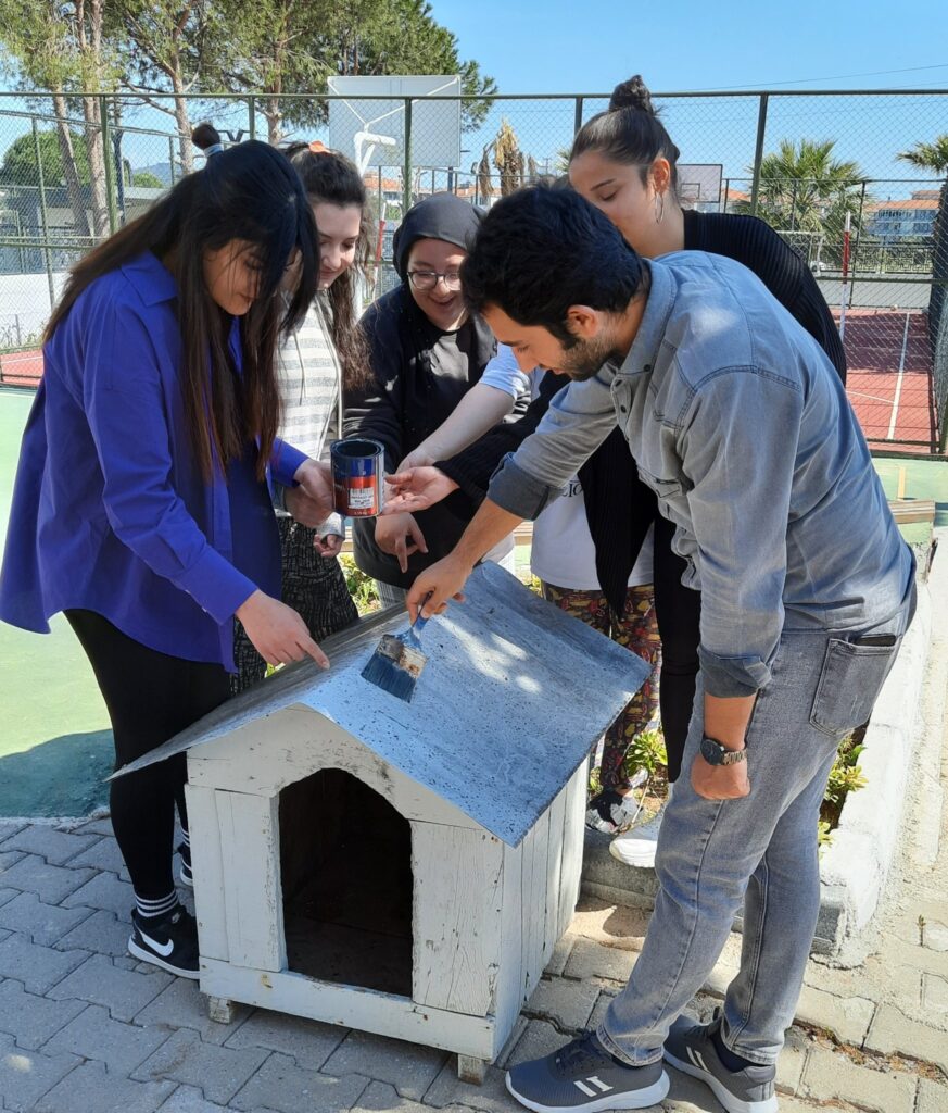 Yurt öğrencileri Gönül Sarayı projesi kapsamında hayvan kulübelerini yeniledi,