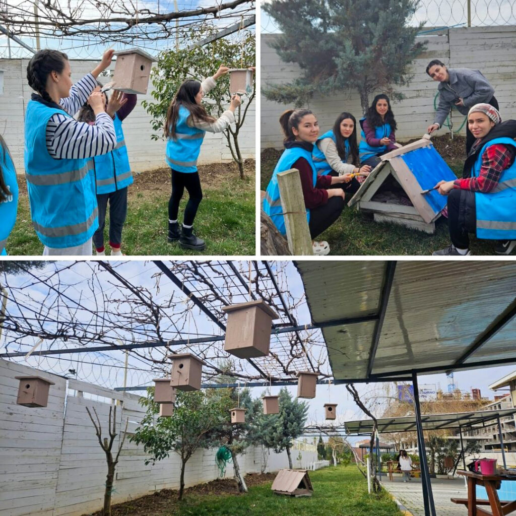 Yurt öğrencileri kuş evi ve kulübe yapıp hayvan dostlarımıza sıcak bir yuva sundular