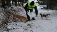 Karda sokak hayvanlarını elleriyle beslediler