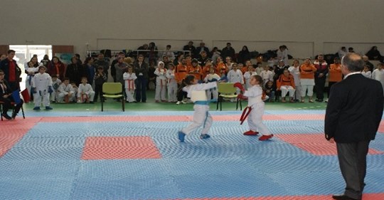 Manyas’ta Karate şampiyonası yapıldı