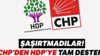 CHP’den HDP’ye tam destek