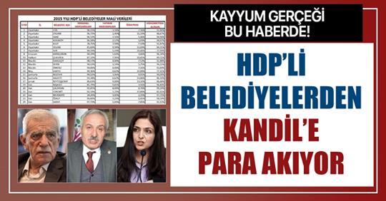 Rakamlar yalan söylemez! HDP’li belediyelerden Kandil’e para akıyor.