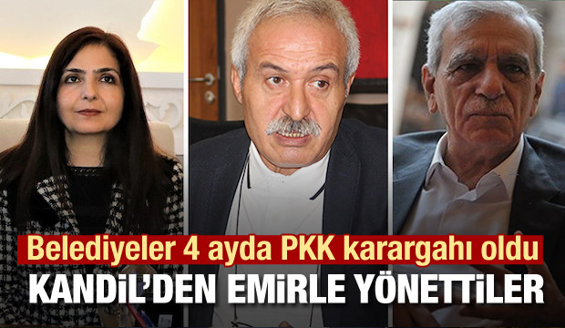 Van, Diyarbakır ve Mardin Belediyeleri PKK karargahı olmuştu