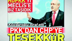 Heval Meral, HDP ile yola devam dedi…