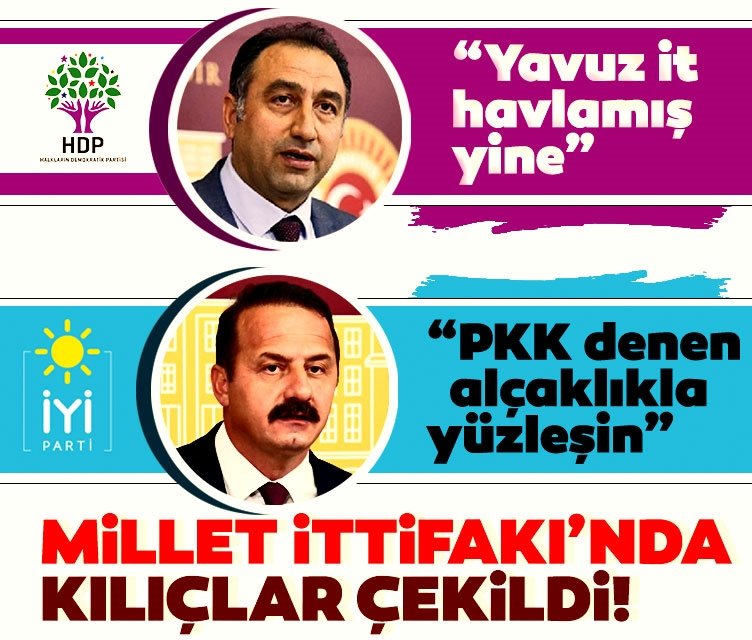 HDP’li vekilden İYİ Partili vekile büyük hakaret: ‘Yavuz it havlamış yine…’