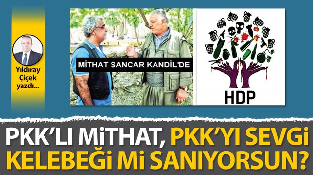 PKK’lı Mithat, PKK’yı sevgi kelebeği mi sanıyorsun?