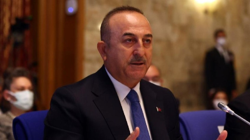 Dışişleri Bakanı Çavuşoğlu: Ülkücülerin neresi terörist?