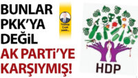 Bunlar PKK’ya değil, AK Parti’ye karşıymış!