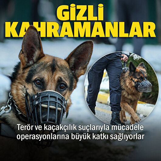 Operasyonların ‘gizli kahramanı’ dedektör köpekler