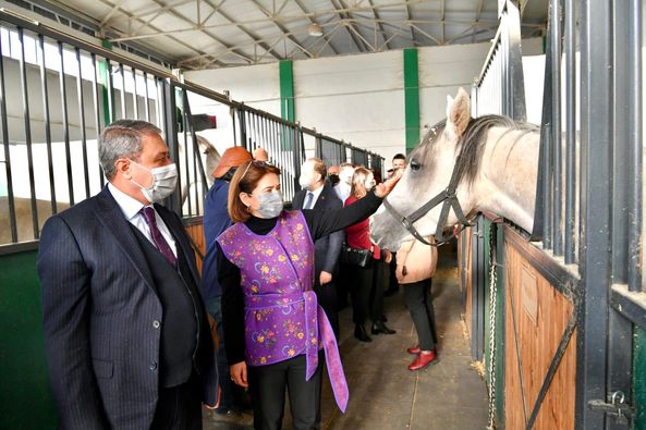 Bandırma Memlük Atlı Spor Kulübü  tesislerini ziyaret etti