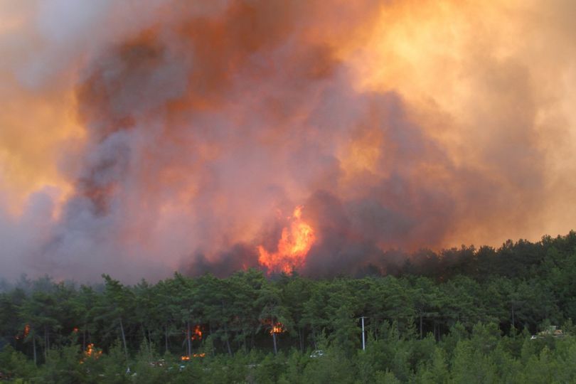 Susurluk’ta 16 hektar ormanlık alan kül oldu