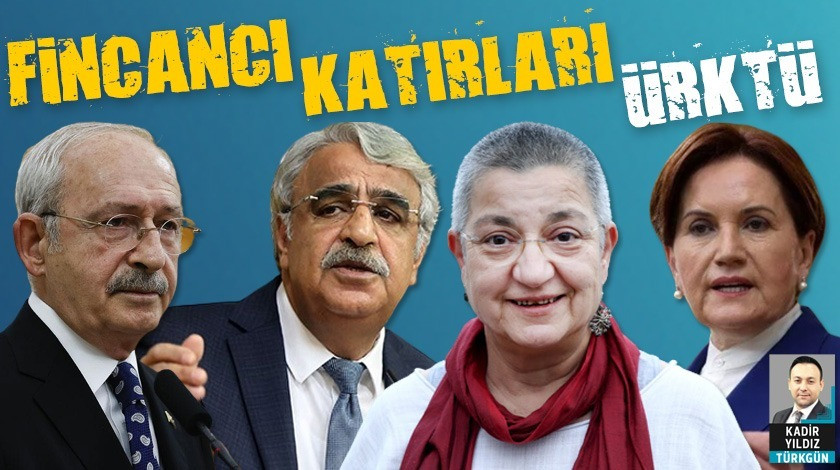 Türk Tabipleri Birliği Başkanı Fincancı katırları ürktü