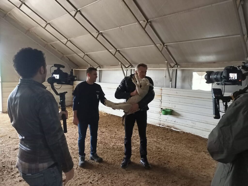 ESKİ BAKAN TÜZMEN Kepsut Belediyesi  Damızlık koyun çiftliğini ZİYARET ETTİ