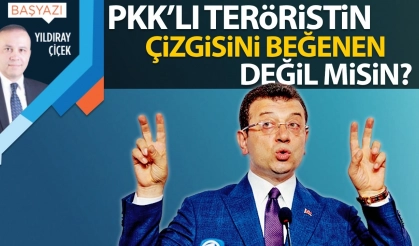 PKK’lı teröristin çizgisini beğenen değil misin?