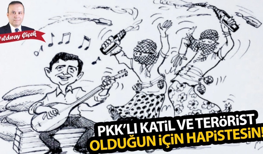 PKK’lı katil ve terörist olduğun için hapistesin!