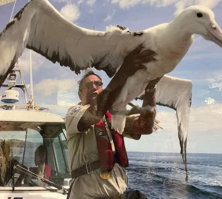 Albatros, yıllarca yere konmadan yaşayabilen en büyük kuştur.