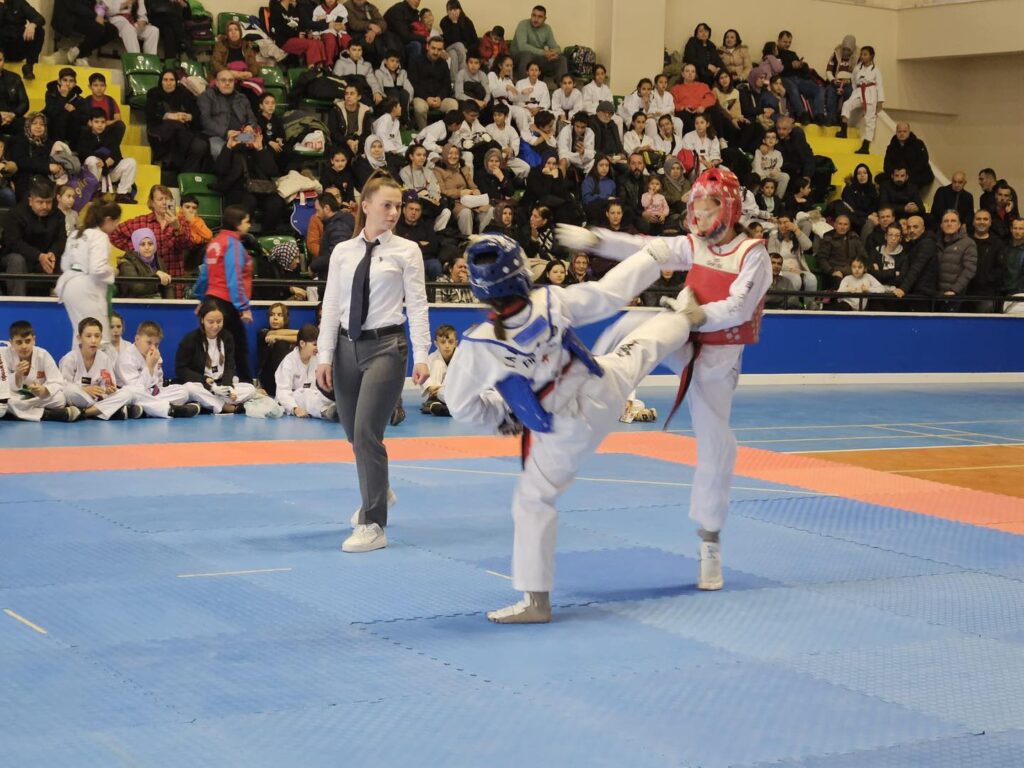 100. Yıl Minikler Taekwondo Cumhuriyet Kupası, 20 farklı spor kulübünden toplam 127 sporcunun katılımıyla başladı. 