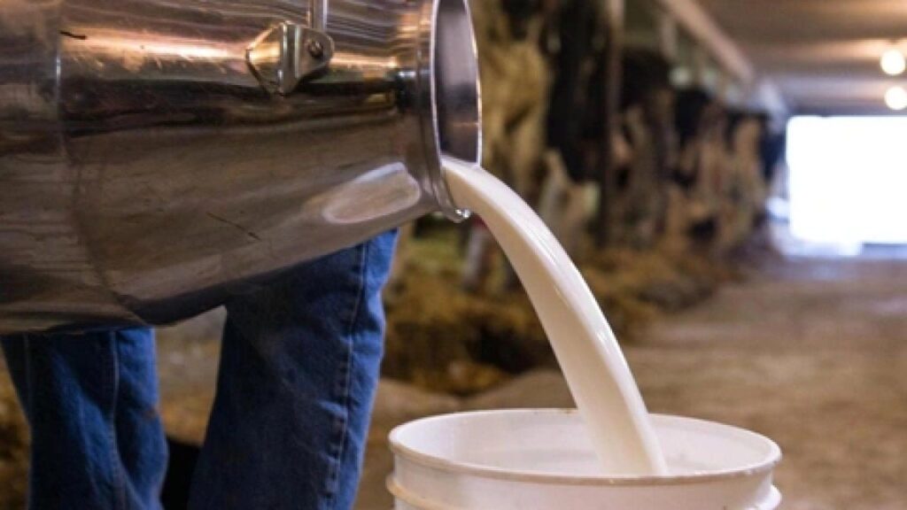 #Balıkesir’de süt üreticileri hayal kırıklığına uğradı.