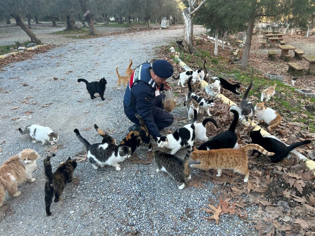 Jandarma (1.460) köpek (1.268) kedi olmak üzere toplam (2.728) can dostumuzu besledi