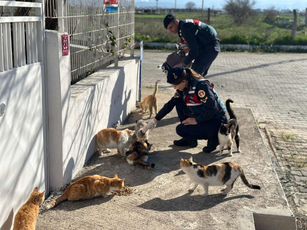 Jandarma tarafından (779) köpek, (538) kedi olmak üzere toplam (1.317)sahipsiz hayvan beslendi
